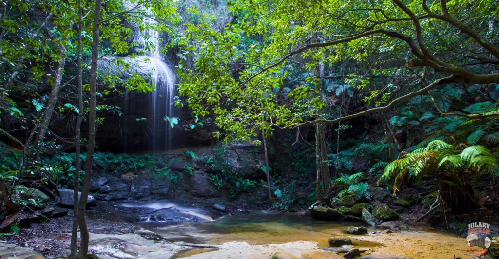 Adeline Falls - Lawson. Photo: Hilary Nathan Photography