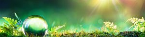 eco friendly accommodation in the blue mountains