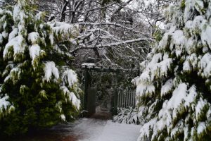 blue mountains cottage
