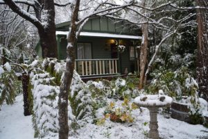 blue mountains cottage