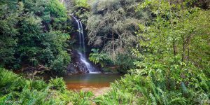 Blue Mountains National Park