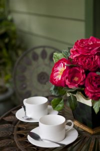 blue mountains cottage
