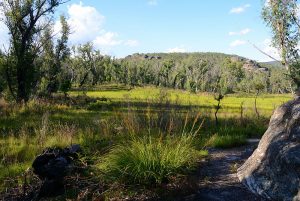 Blue Mountains National Park