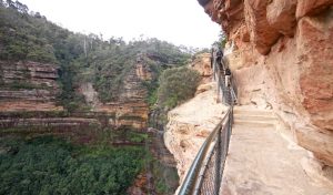 Blue Mountains National Park