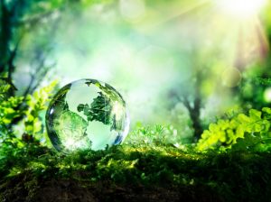 sustainable business