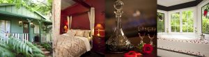 cottage accommodation in leura