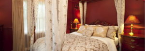 leura accommodation